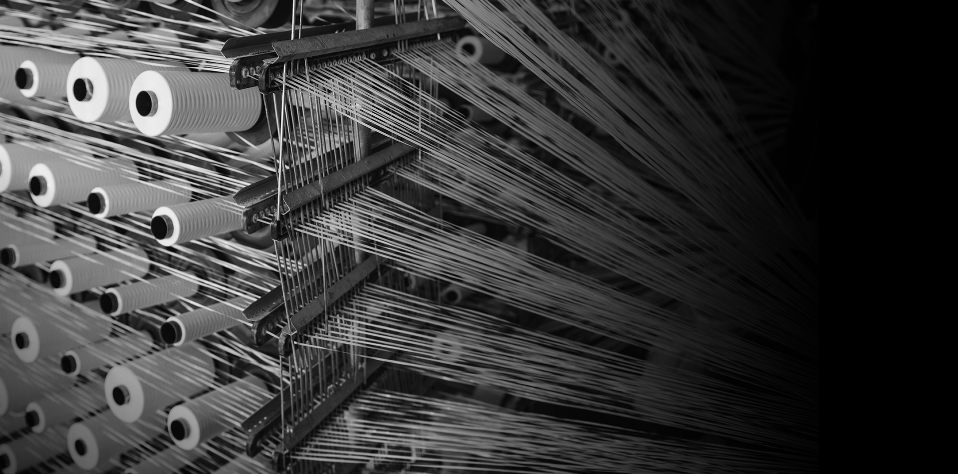 SHAOXING TANGSILK TEXTILE CO.,LTD.